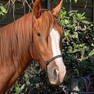 Meet your Posher, Alana